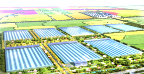 麻将胡了企业新闻