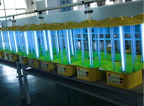 麻将胡了破解版(官方)最新IOS/安卓版/手机版APP下载