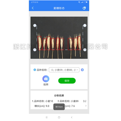 麦穗状态丈量仪2