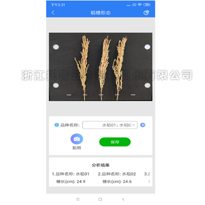 稻穗状态丈量仪2