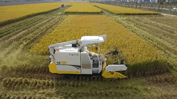 江苏海门：打造数字化高尺度农田，，，，，，为村落振兴蓄势赋能