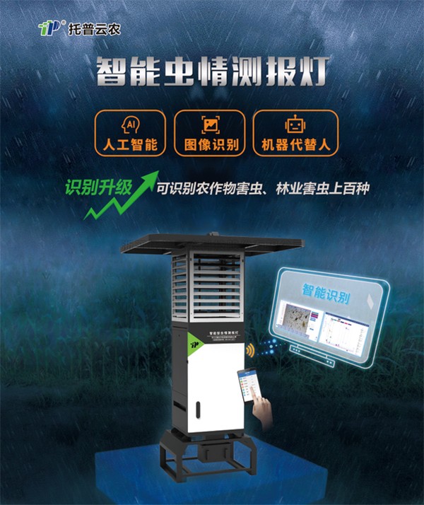 害虫无处逃，，，，，，，麻将胡了“虫脸鉴别”有妙招