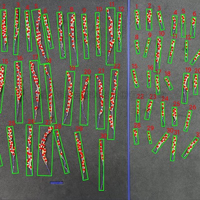 麻将胡了破解版(官方)最新IOS/安卓版/手机版APP下载