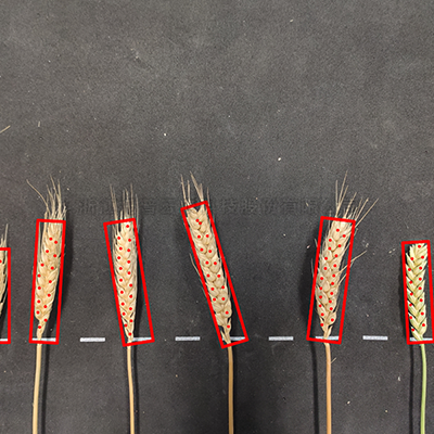 麻将胡了破解版(官方)最新IOS/安卓版/手机版APP下载