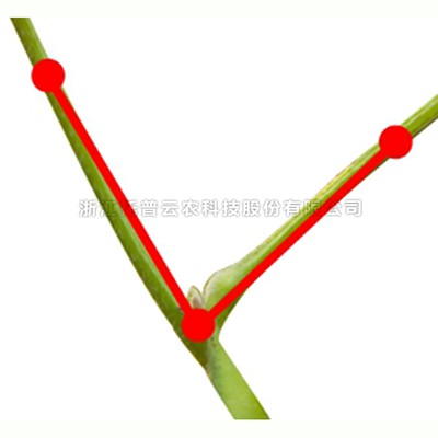 麻将胡了破解版(官方)最新IOS/安卓版/手机版APP下载