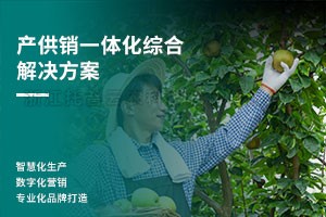 产供销一体化综合解决规划