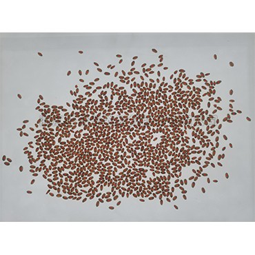 麻将胡了破解版(官方)最新IOS/安卓版/手机版APP下载