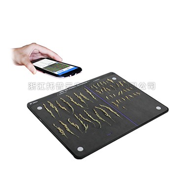 麻将胡了破解版(官方)最新IOS/安卓版/手机版APP下载