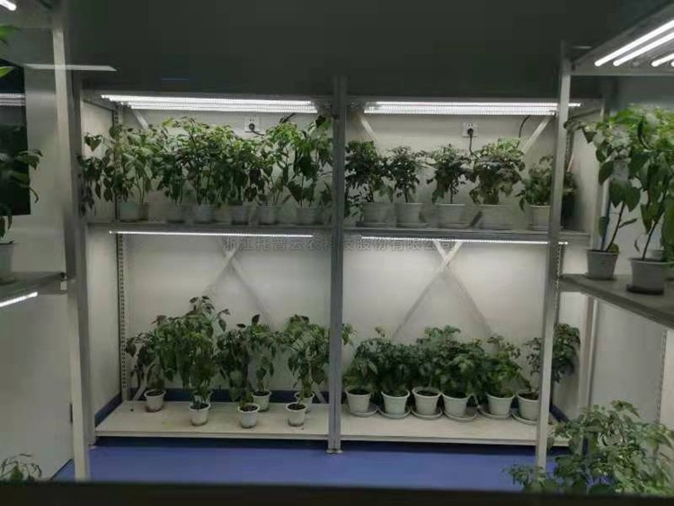 人为气象室建设规划