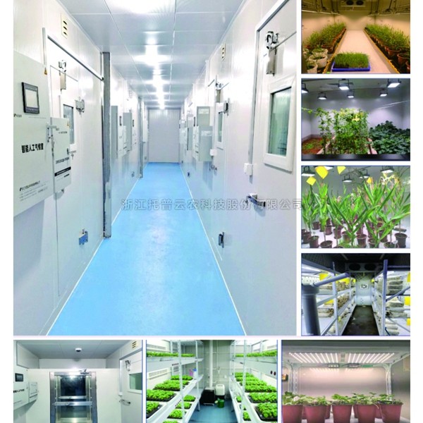 养虫室建设规划