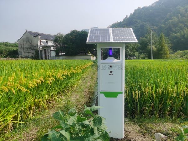 从“新”启程！麻将胡了幼虫体智能测报系统迈向纵深发展新阶段