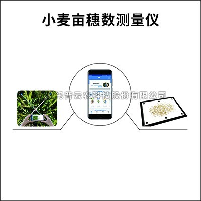 幼麦亩穗数丈量系统具体介绍