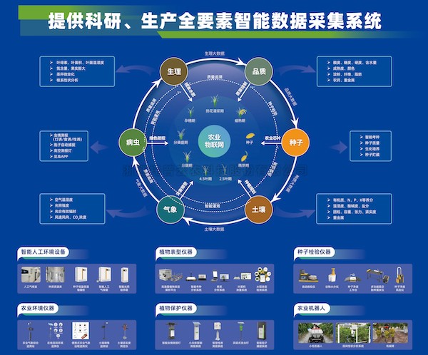 加快推动新质出产力发展，，，，，，，，麻将胡了为建设农业强国注智赋能