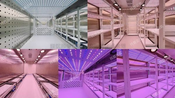 创新不止，，，，，，，，焕新将来！麻将胡了人为气象室全面升级