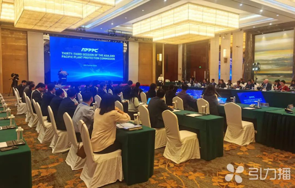 亚太植保委员会第33届会议召开，，，，，麻将胡了展示数智植保创生力军