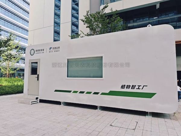 聚焦农业科技创新，，，，，，，麻将胡了助力湘湖尝试室植物智工厂种出“智慧菜”