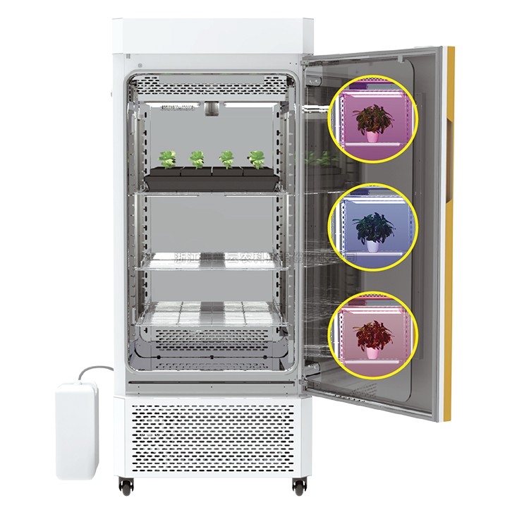 麻将胡了破解版(官方)最新IOS/安卓版/手机版APP下载