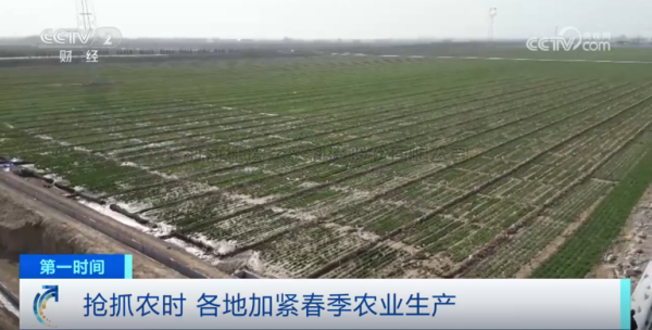 心系粮安、山田无阻、服务有恒|麻将胡了2025年智能设备巡检服务全面启动