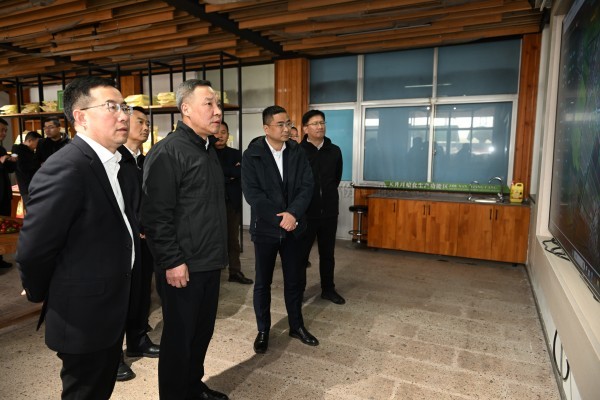 浙江省副省长李岩益光临麻将胡了标杆案例“瑞安马屿镇绿色农田”调查调研