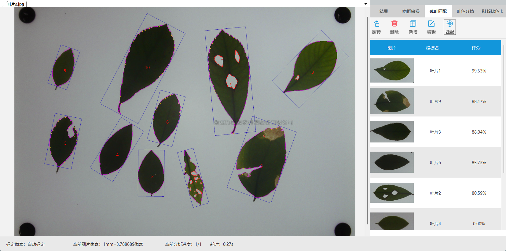 麻将胡了破解版(官方)最新IOS/安卓版/手机版APP下载
