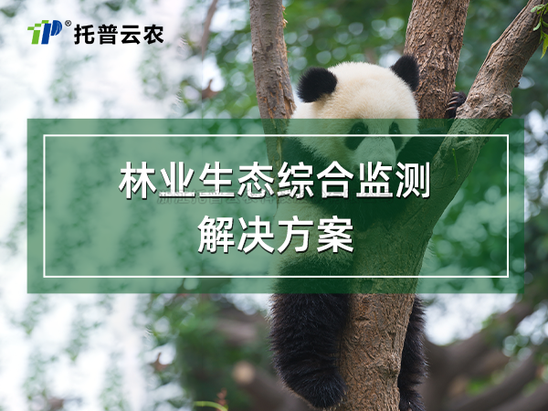 林业生态综合监测解决规划
