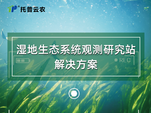 湿地生态系统观测钻研站解决规划