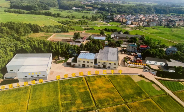 江山市峰田数智大田典型案例