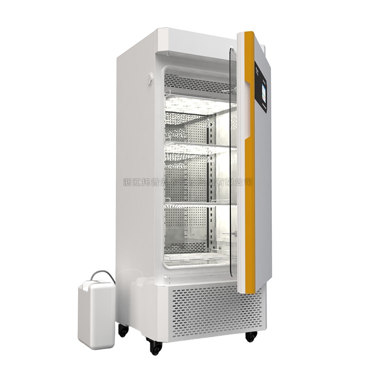 麻将胡了破解版(官方)最新IOS/安卓版/手机版APP下载