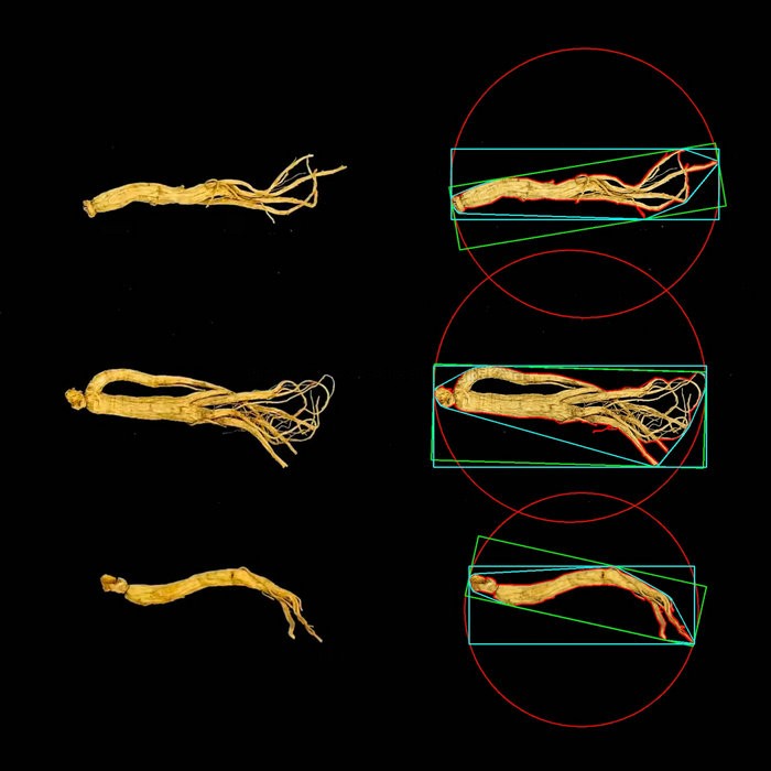 麻将胡了破解版(官方)最新IOS/安卓版/手机版APP下载