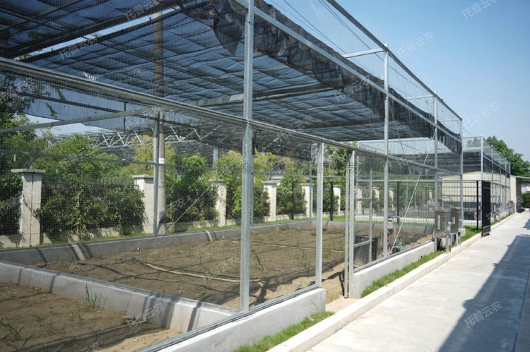 麻将胡了破解版(官方)最新IOS/安卓版/手机版APP下载