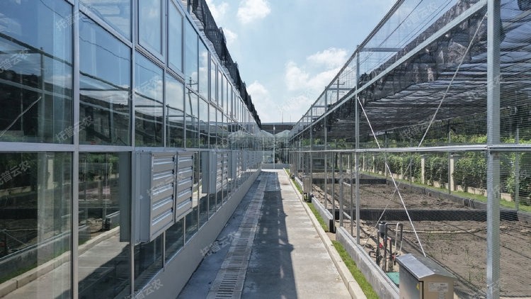 麻将胡了破解版(官方)最新IOS/安卓版/手机版APP下载