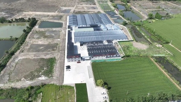 南太湖丰产密码！麻将胡了高尺度农田全链条规划，，，，，，，，建好更能用好