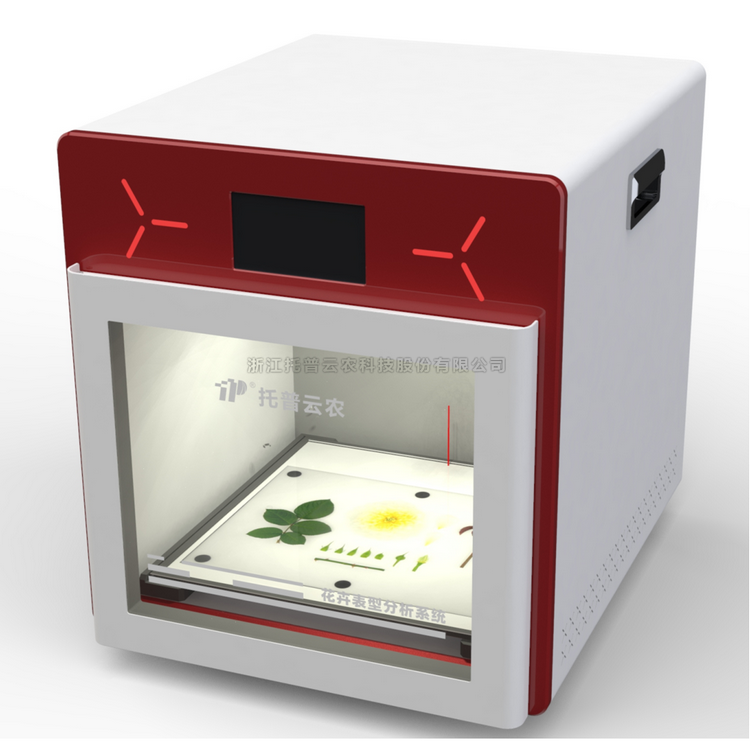 麻将胡了破解版(官方)最新IOS/安卓版/手机版APP下载