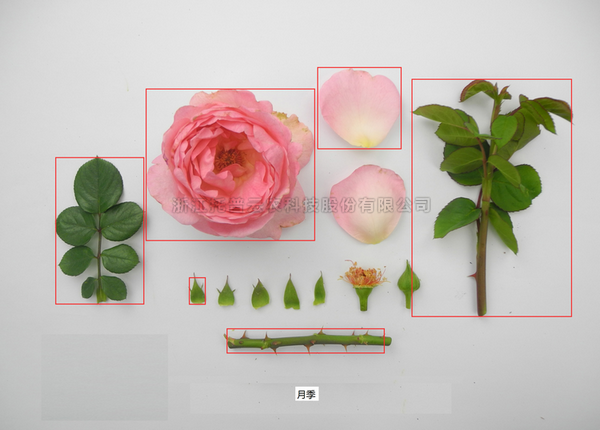 麻将胡了破解版(官方)最新IOS/安卓版/手机版APP下载