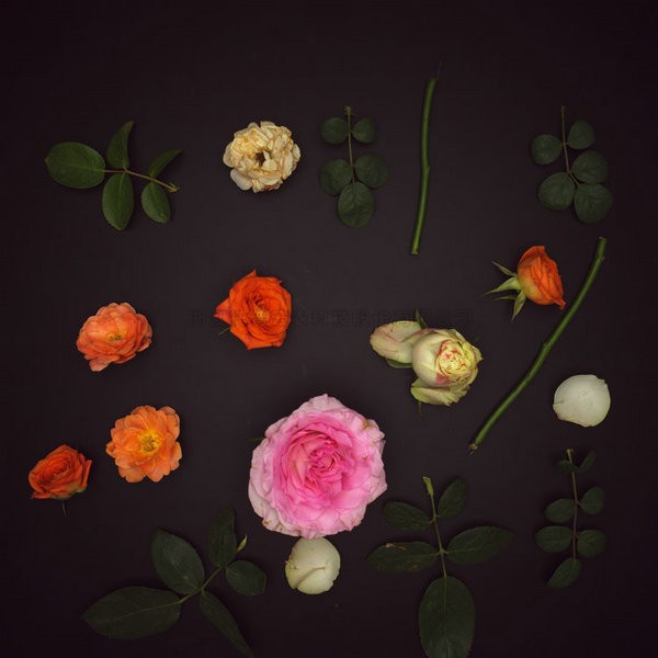 麻将胡了破解版(官方)最新IOS/安卓版/手机版APP下载