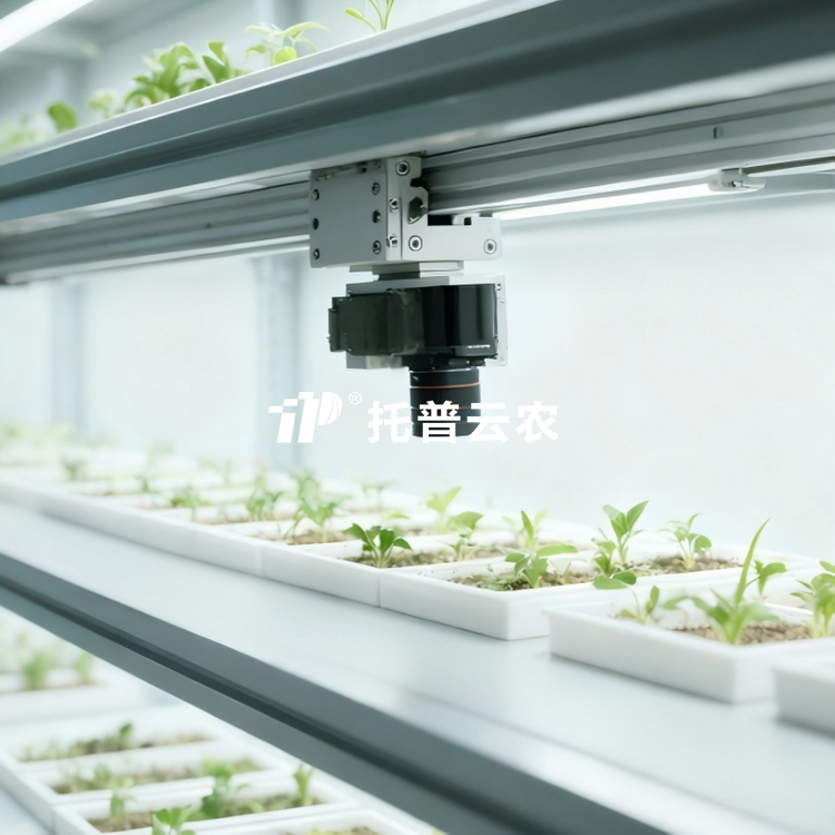 室内种子萌颁发型监测系统TP-SeedPhy