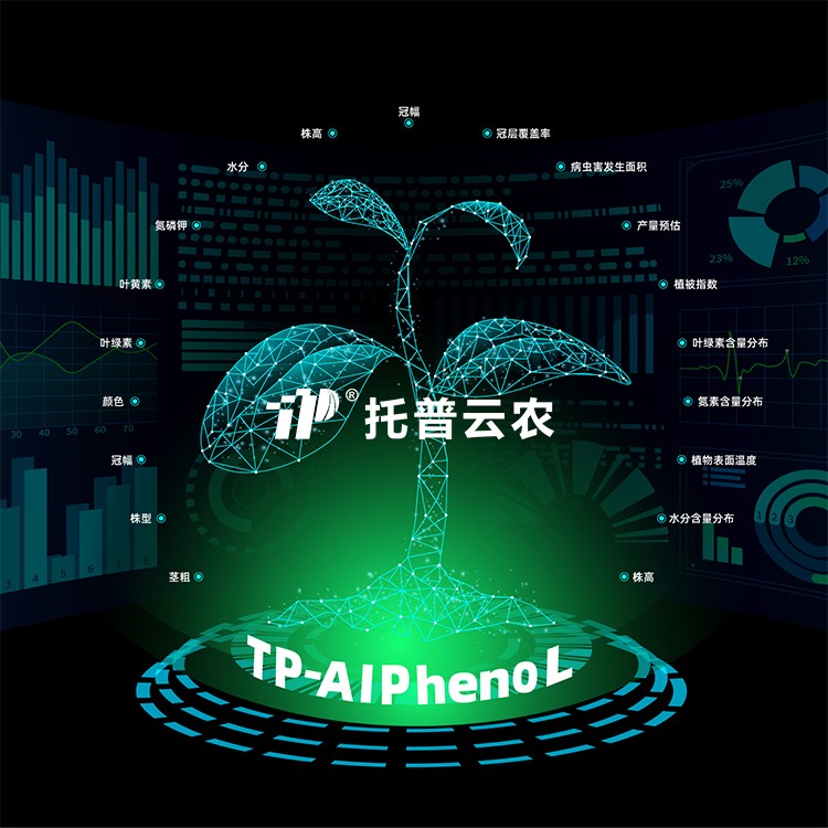 植物表型自动化分析软件 TP-AI Pheno L