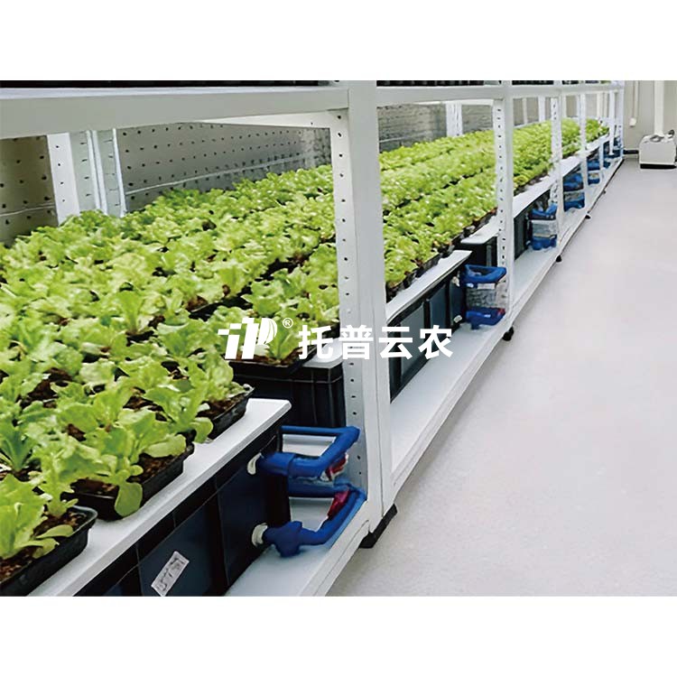 麻将胡了破解版(官方)最新IOS/安卓版/手机版APP下载