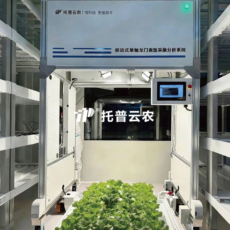 麻将胡了破解版(官方)最新IOS/安卓版/手机版APP下载