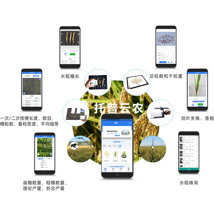 水稻表型检测系统TPS-BX-2