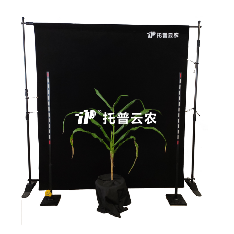 玉米株型分析系统TPMT-X-1