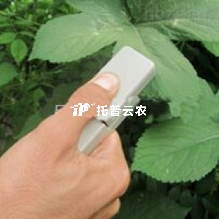 植物叶片温差丈量仪TPW-A
