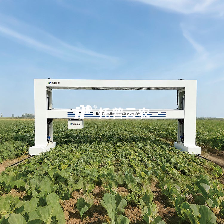 龙门式高通量表型采集分析平台（地轨式）TPN-GTL-GT1