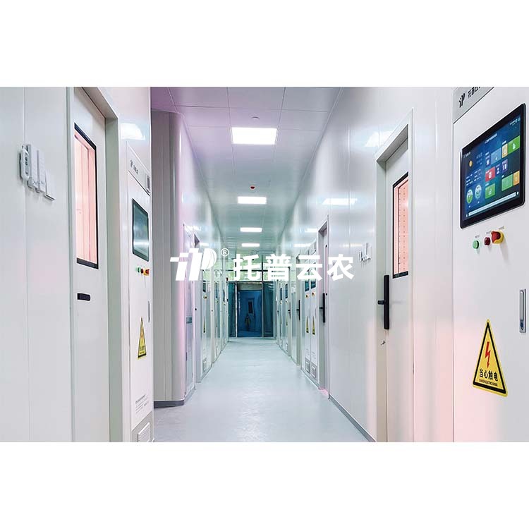 麻将胡了破解版(官方)最新IOS/安卓版/手机版APP下载