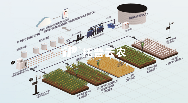 水肥一体化项目建设规划|智能水肥一体化项目执行规划