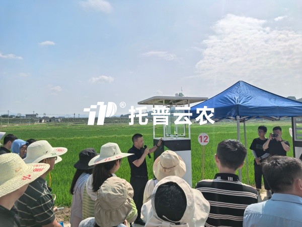 从“监测”到“智庞妆！麻将胡了智能（AI)虫情测报灯沉磅颁布，，，，，，，智慧植保迈入“智庞妆时期