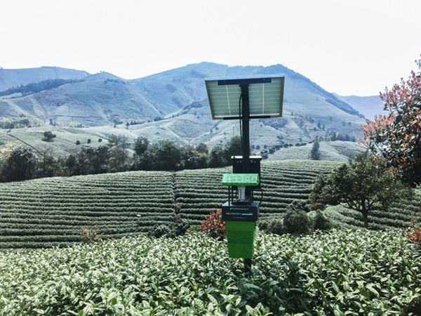 联网风吸式茶园杀虫灯基地装置实景图