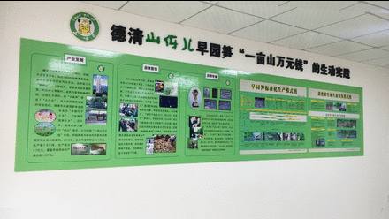 德清山伢儿早园笋有关展示内容