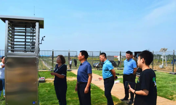 麻将胡了助力山西草地贪夜蛾监测防控工作