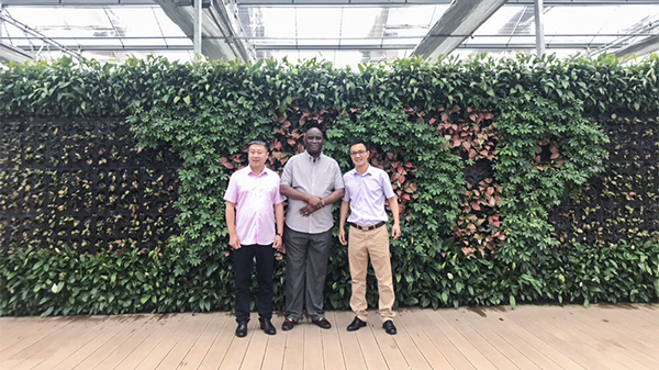 加强国际化合作：尼日利亚农业银行行长来访麻将胡了